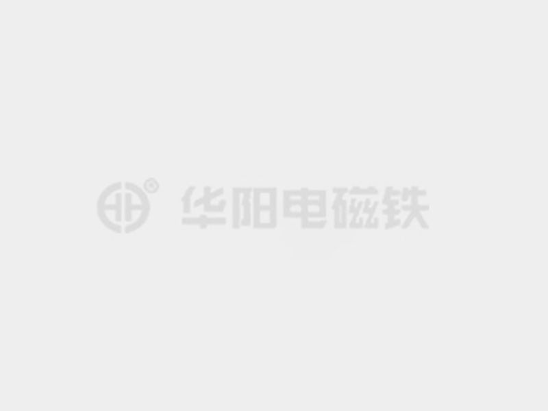 大肉棒草小逼防爆电磁铁的储存和维护较佳实践！